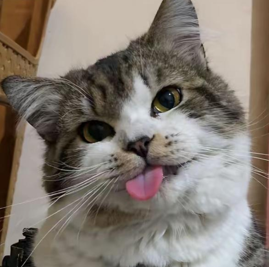 youhav3me